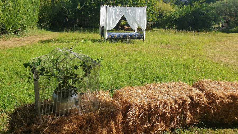 Vôtre plus belle nuit insolite à moins de 2h de Paris Chez Lila des Bois 5 131 Vôtre plus belle nuit insolite à moins de 2h de Paris 130